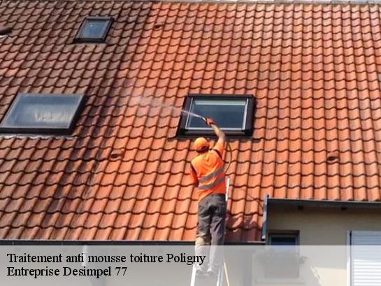 Traitement anti mousse toiture  poligny-77167 Entreprise Desimpel 77
