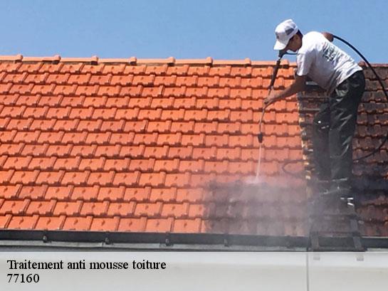 Traitement anti mousse toiture  provins-77160 Entreprise Desimpel 77