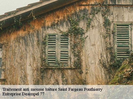 Traitement anti mousse toiture  saint-fargeau-ponthierry-77310 Entreprise Desimpel 77