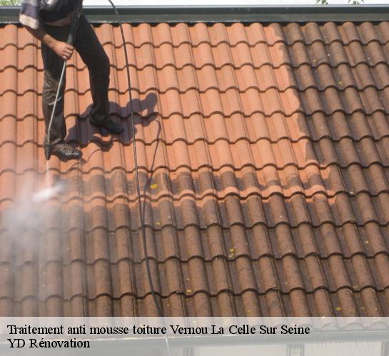 Traitement anti mousse toiture  vernou-la-celle-sur-seine-77670 Artisan Laurot