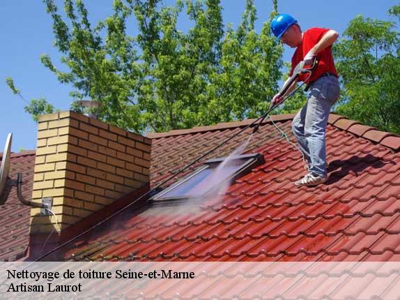 Nettoyage de toiture 77 Seine-et-Marne  Artisan Laurot