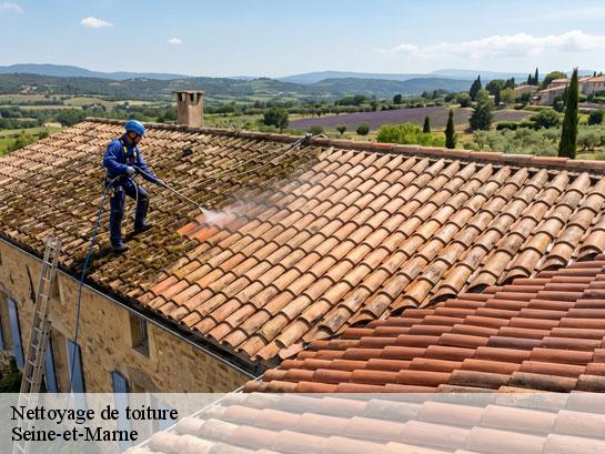 Nettoyage de toiture 77 Seine-et-Marne  Entreprise Desimpel 77