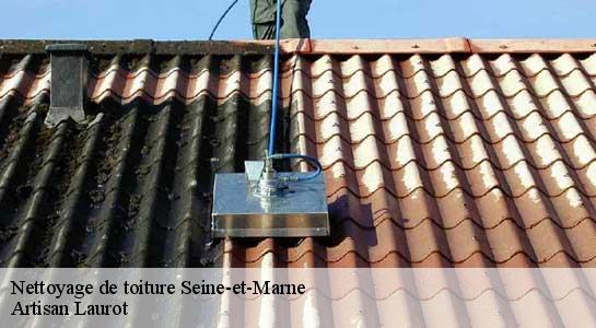 Nettoyage de toiture Seine-et-Marne 