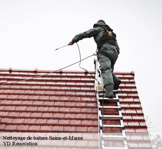 Nettoyage de toiture Seine-et-Marne 