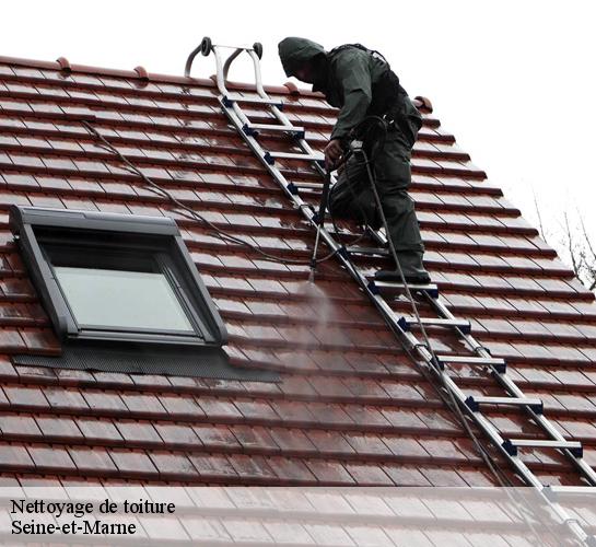 Nettoyage de toiture Seine-et-Marne 