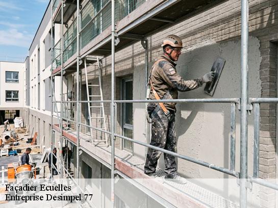 Façadier  ecuelles-77250 Entreprise Desimpel 77