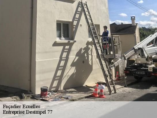 Façadier  ecuelles-77250 Entreprise Desimpel 77
