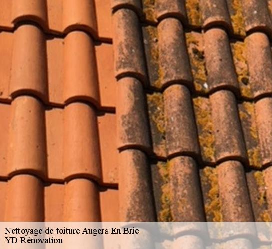Nettoyage de toiture  77560