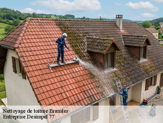Nettoyage de toiture  bransles-77620 Entreprise Desimpel 77