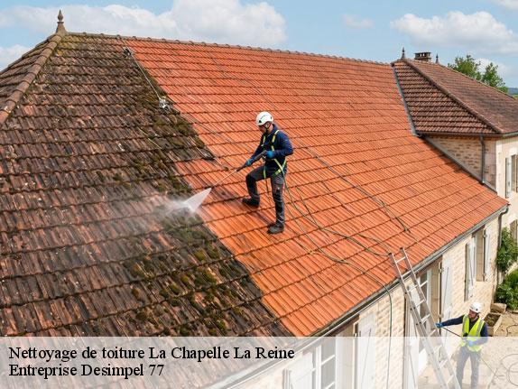 Nettoyage de toiture  la-chapelle-la-reine-77760 Entreprise Desimpel 77