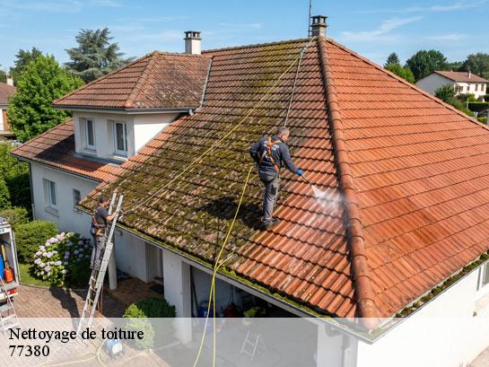 Nettoyage de toiture  combs-la-ville-77380 Entreprise Desimpel 77