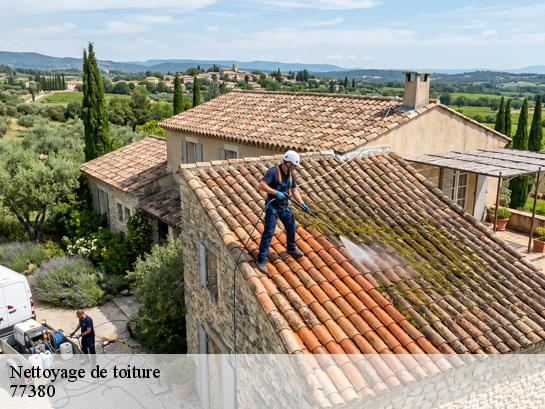 Nettoyage de toiture  combs-la-ville-77380 Entreprise Desimpel 77