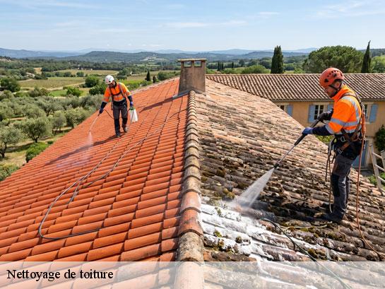 Nettoyage de toiture  combs-la-ville-77380 Entreprise Desimpel 77