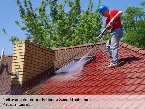 Nettoyage de toiture  fontaine-sous-montaiguill-77560 Artisan Laurot