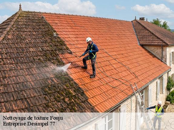 Nettoyage de toiture  fouju-77390 Entreprise Desimpel 77