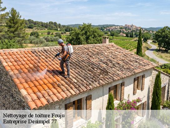 Nettoyage de toiture  fouju-77390 Entreprise Desimpel 77