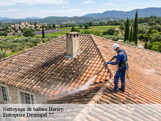 Nettoyage de toiture  hericy-77850 Entreprise Desimpel 77