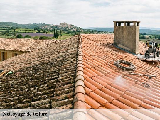 Nettoyage de toiture  hondevilliers-77510 Entreprise Desimpel 77