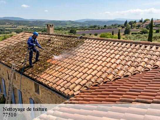 Nettoyage de toiture  hondevilliers-77510 Entreprise Desimpel 77