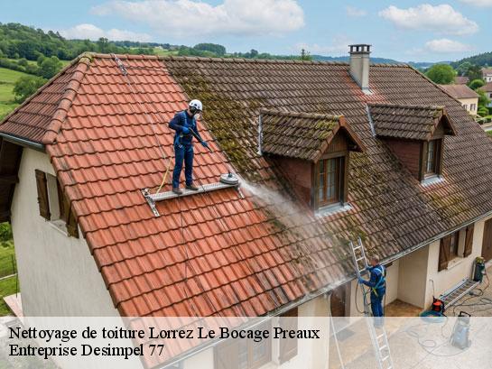 Nettoyage de toiture  lorrez-le-bocage-preaux-77710 Entreprise Desimpel 77