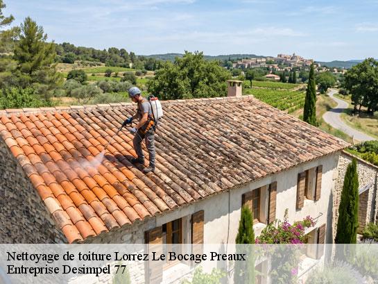 Nettoyage de toiture  lorrez-le-bocage-preaux-77710 Entreprise Desimpel 77