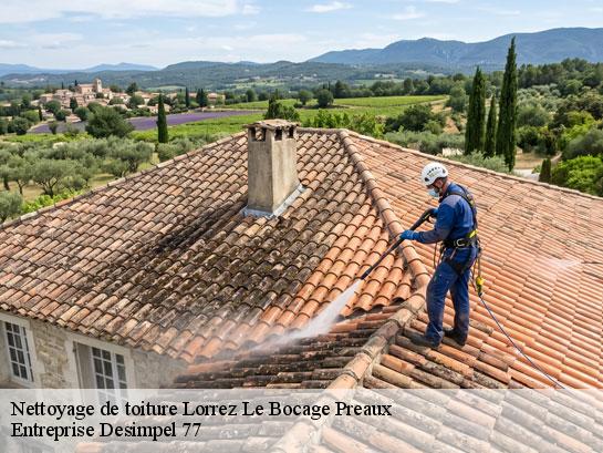Nettoyage de toiture  lorrez-le-bocage-preaux-77710 Entreprise Desimpel 77