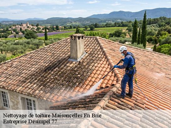 Nettoyage de toiture  maisoncelles-en-brie-77580 Entreprise Desimpel 77