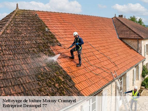 Nettoyage de toiture  moissy-cramayel-77550 Entreprise Desimpel 77
