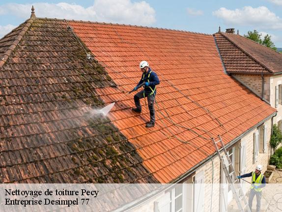 Nettoyage de toiture  pecy-77970 Entreprise Desimpel 77