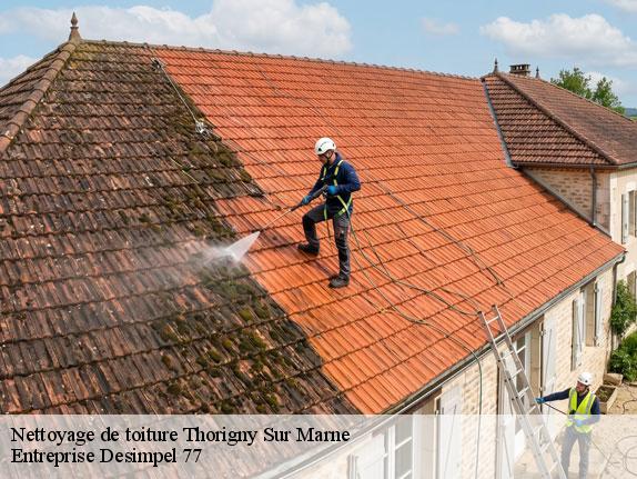 Nettoyage de toiture  thorigny-sur-marne-77400 Entreprise Desimpel 77