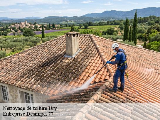 Nettoyage de toiture  ury-77760 Entreprise Desimpel 77