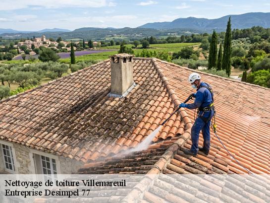 Nettoyage de toiture  villemareuil-77470 Entreprise Desimpel 77