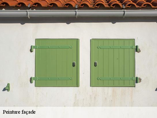 Peinture façade  la-chapelle-la-reine-77760 Entreprise Desimpel 77
