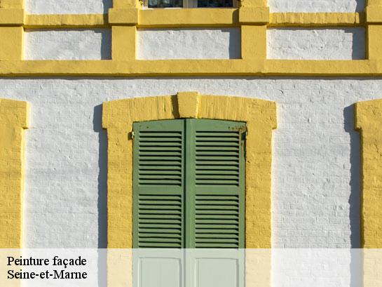 Peinture façade   Entreprise Desimpel 77