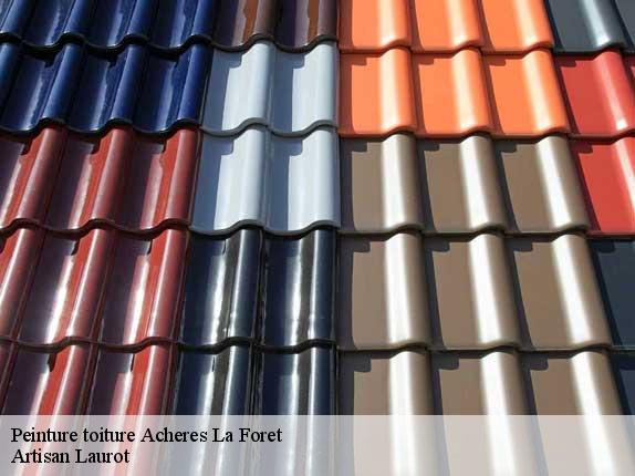 Peinture toiture  acheres-la-foret-77760 Artisan Laurot