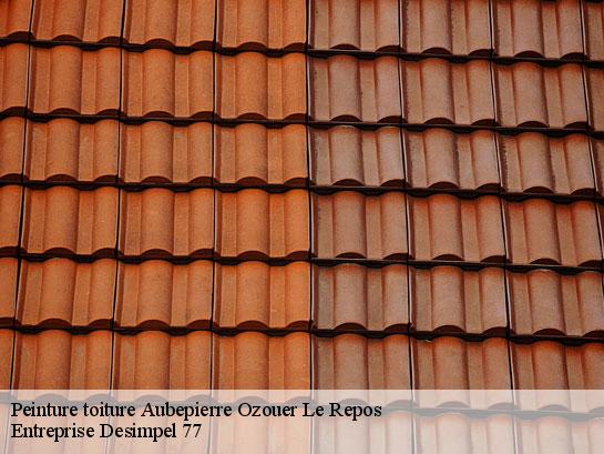 Peinture toiture  aubepierre-ozouer-le-repos-77720 Entreprise Desimpel 77