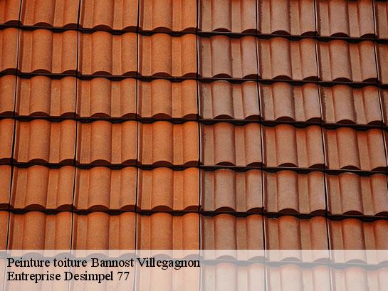 Peinture toiture  bannost-villegagnon-77970 Entreprise Desimpel 77