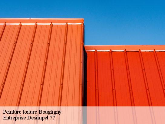 Peinture toiture  bougligny-77570 Entreprise Desimpel 77