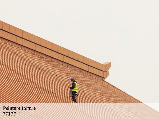 Peinture toiture  brou-sur-chantereine-77177 Entreprise Desimpel 77