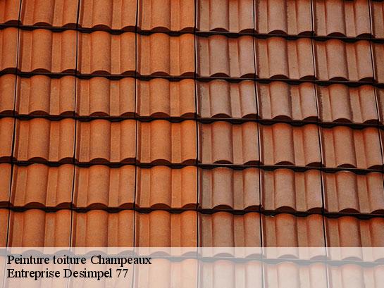 Peinture toiture  champeaux-77720 Entreprise Desimpel 77