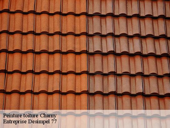 Peinture toiture  charny-77410 Entreprise Desimpel 77