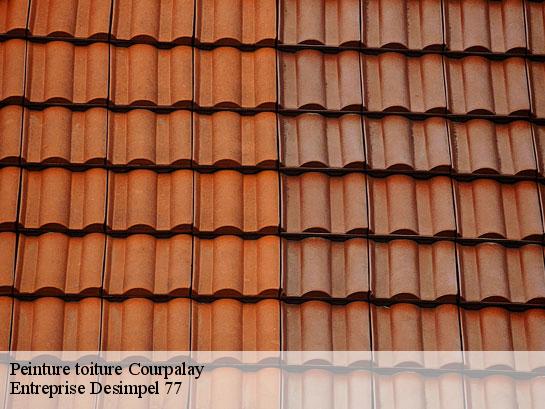 Peinture toiture  courpalay-77540 Entreprise Desimpel 77