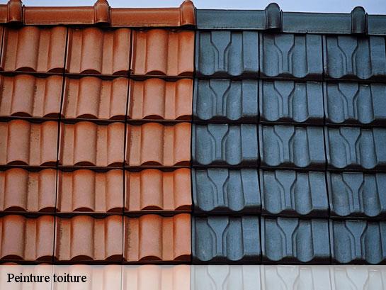 Peinture toiture  courpalay-77540 Entreprise Desimpel 77
