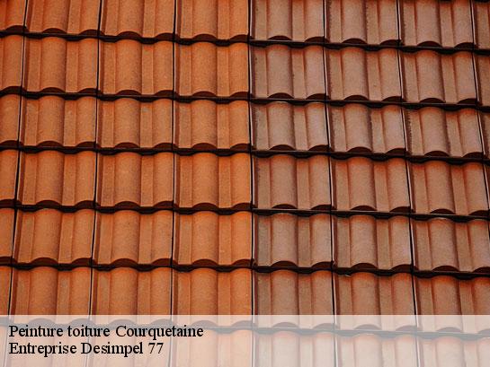 Peinture toiture  courquetaine-77390 Entreprise Desimpel 77