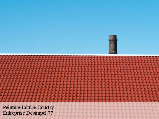 Peinture toiture  courtry-77181 Entreprise Desimpel 77