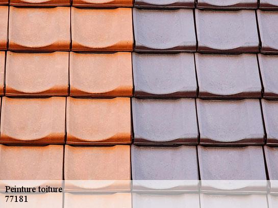Peinture toiture  courtry-77181 Entreprise Desimpel 77