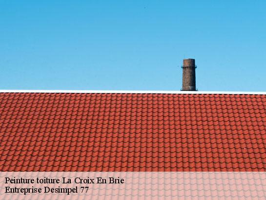 Peinture toiture  la-croix-en-brie-77370 Entreprise Desimpel 77