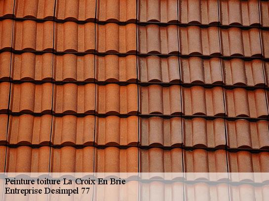 Peinture toiture  la-croix-en-brie-77370 Entreprise Desimpel 77