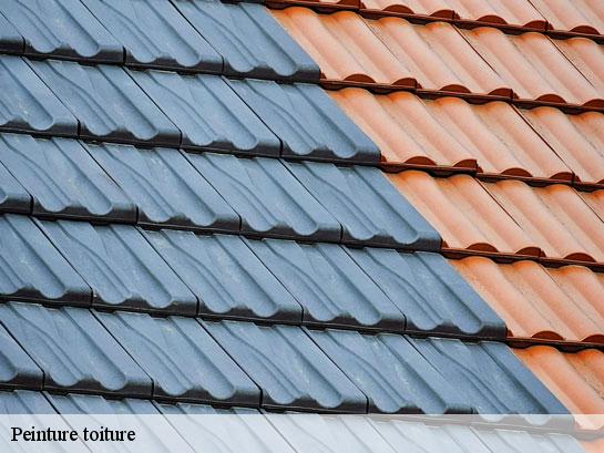 Peinture toiture  dhuisy-77440 Entreprise Desimpel 77