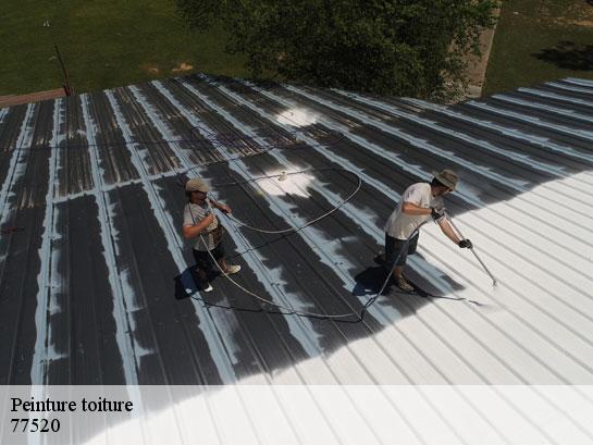 Peinture toiture  donnemarie-dontilly-77520 Entreprise Desimpel 77